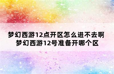 梦幻西游12点开区怎么进不去啊 梦幻西游12号准备开哪个区